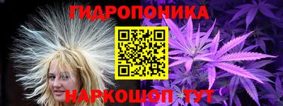шишки Балашиха