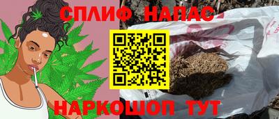 дмт Балахна