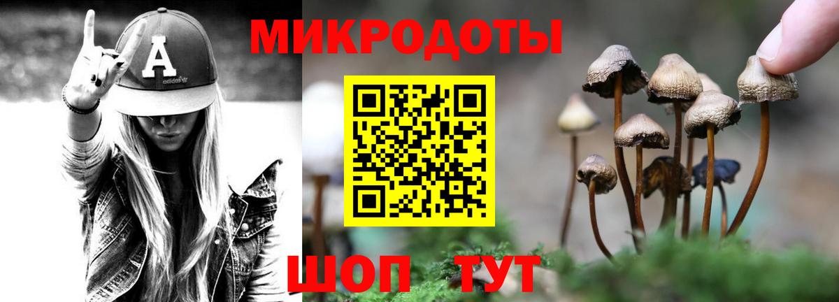 Псилоцибиновые грибы Psilocybe Гусев